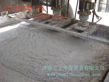 點擊查看詳細信息<br>標題：CAF渦凹氣浮機使用現場 閱讀次數：15206
